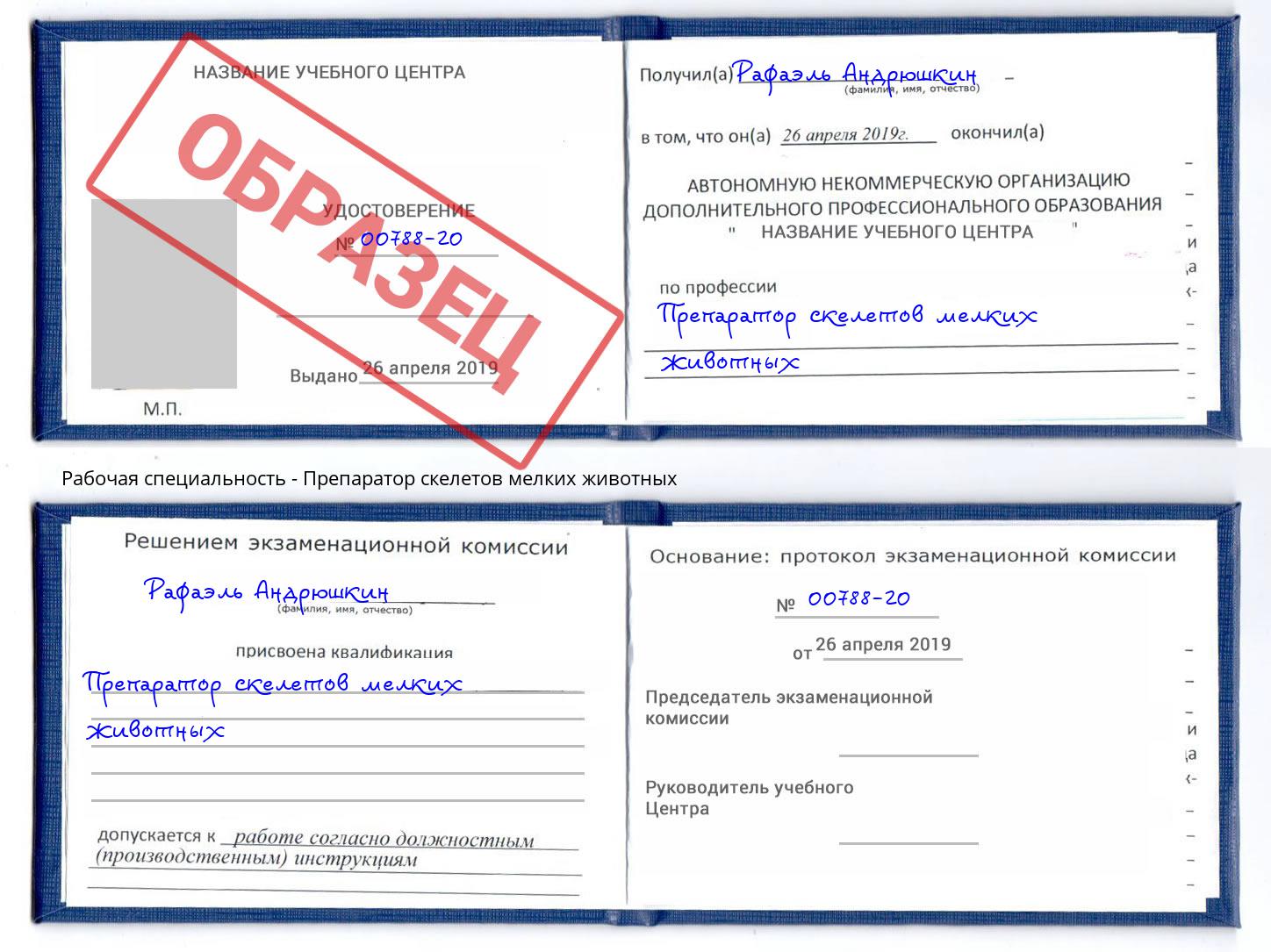 Препаратор скелетов мелких животных Таганрог