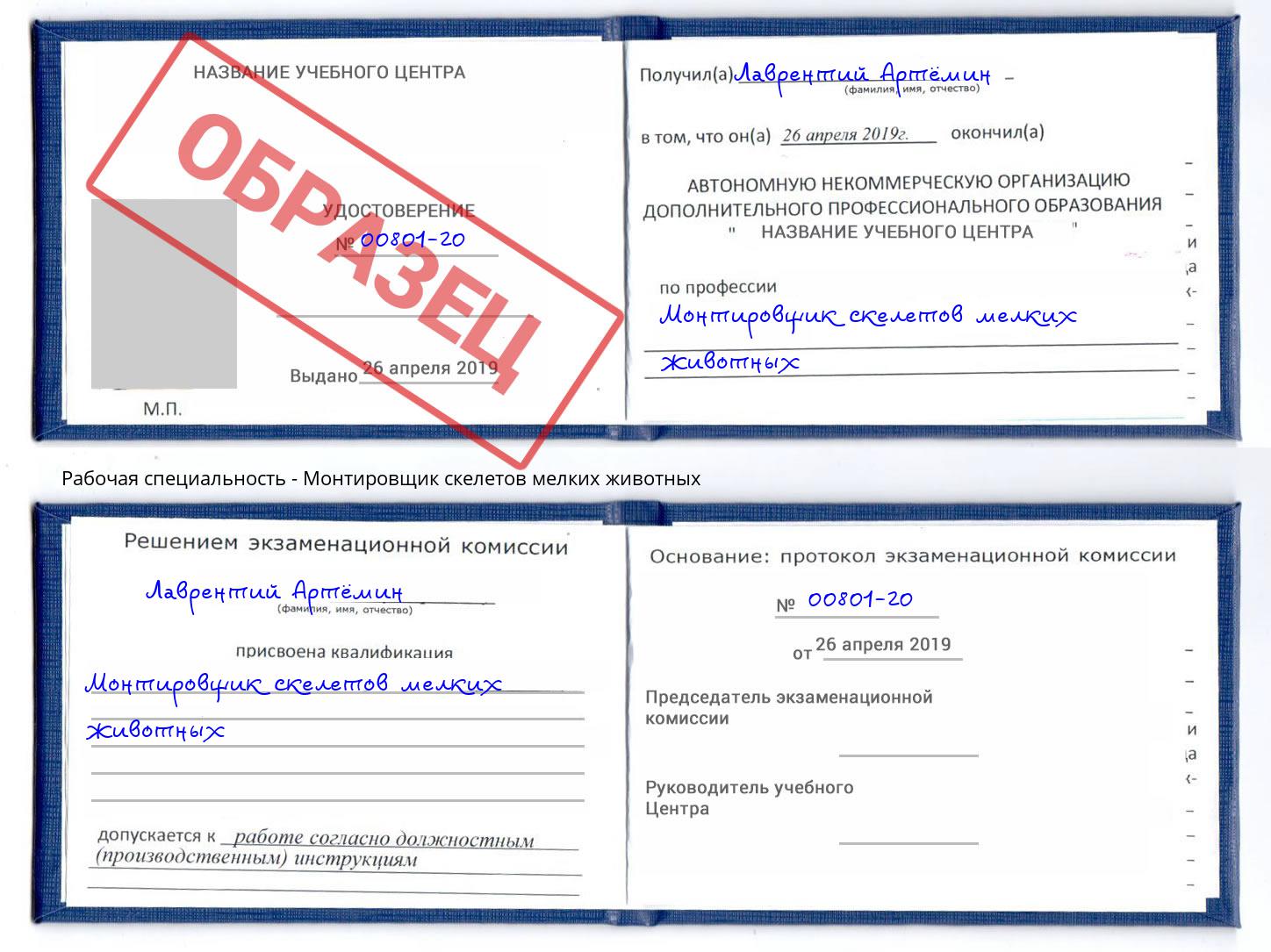 Монтировщик скелетов мелких животных Таганрог