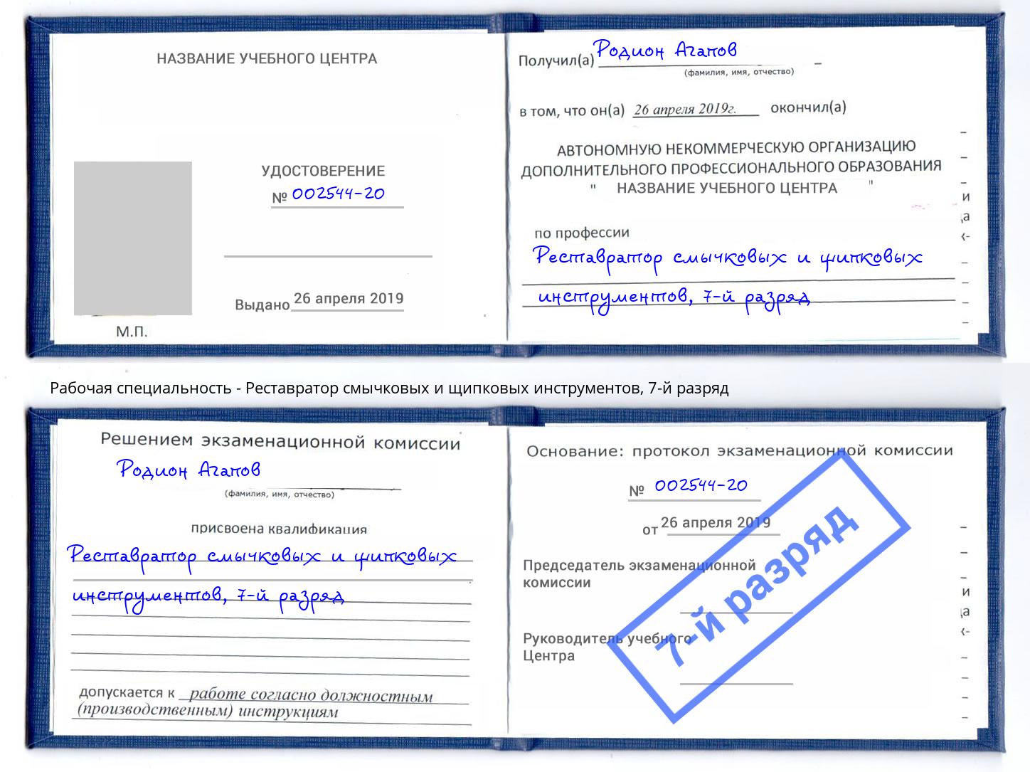 корочка 7-й разряд Реставратор смычковых и щипковых инструментов Таганрог